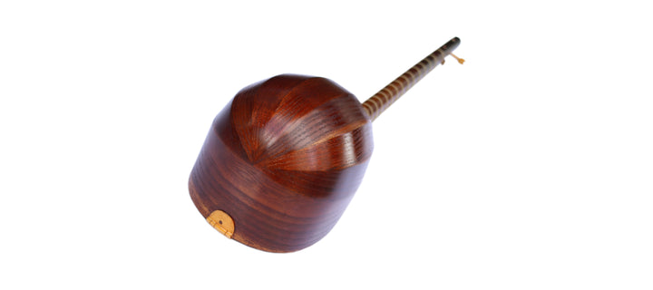 Hormoz High Quality Tanbur By Mehrab MT-204