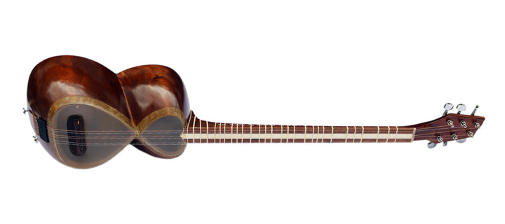 Hashem professional electric tar HET-4 Persian double-bowl lute