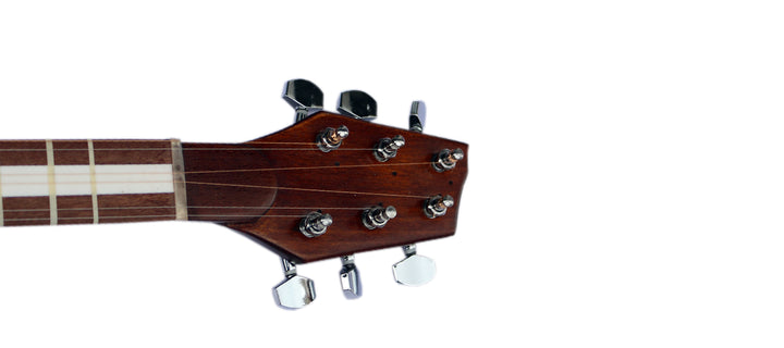 Electric tar HET-4 by Hashem stage-ready Persian instrument