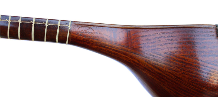Sétar SSH-302 par Hormoz instrument classique persan fait main
