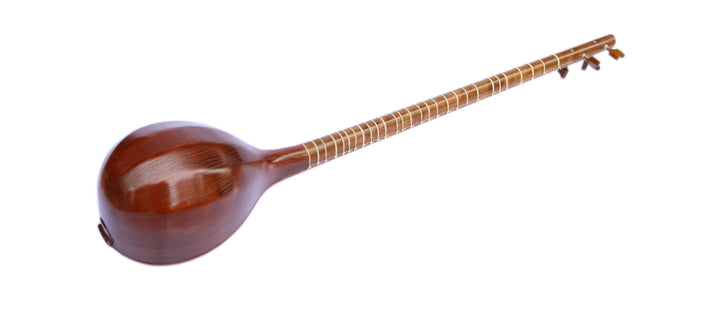 セタール　楽器 Setar Musical Instrument | Sala Muzik