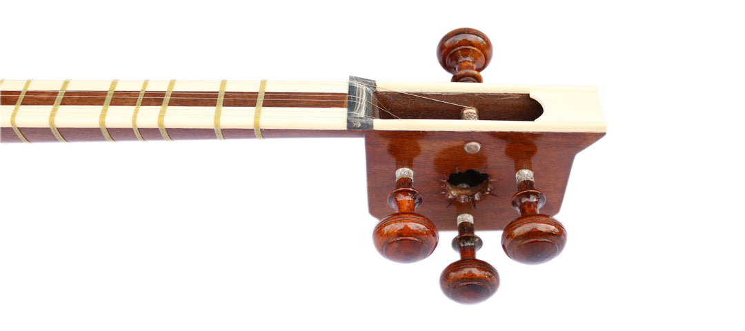 Delnavaz tar DPT-305 handmade Persian plucked instrument