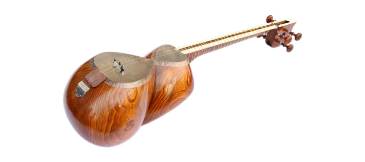 Tar DPT-305 by Delnavaz concert Persian plucked instrument