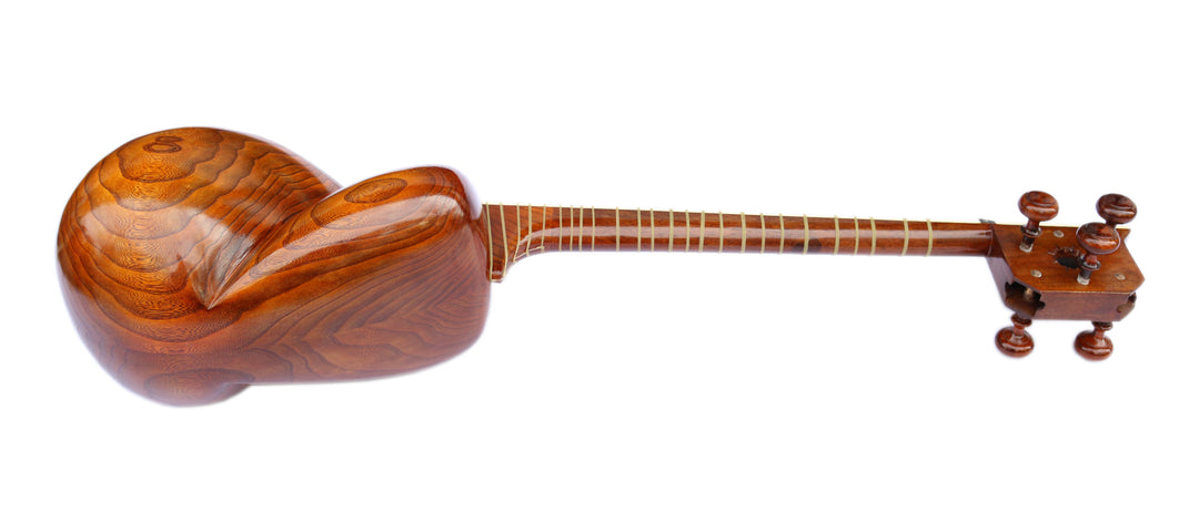Delnavaz carved mulberry tar DPT-305 luthier instrument