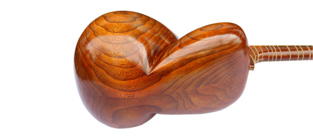 Carved mulberry tar DPT-305 by Delnavaz Persian classical lute