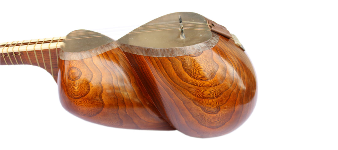 Persian tar DPT-305 by Delnavaz handcrafted double-bowl lute