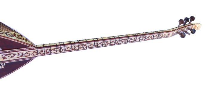 Pearl-inlaid custom electric baglama PEARL-2 for stage by Sala