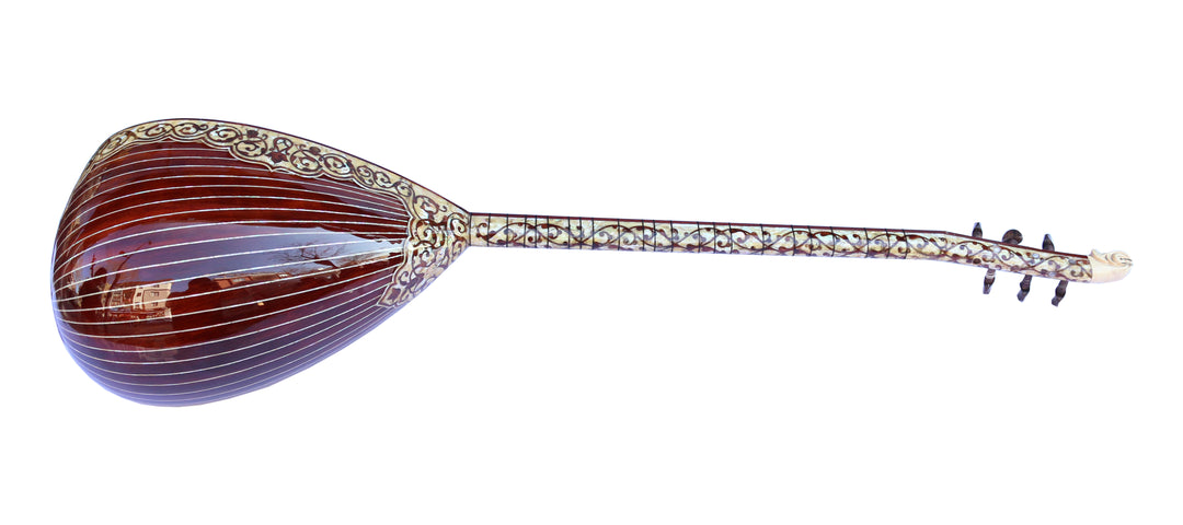 Pearl electric saz PEARL-2 by Sala