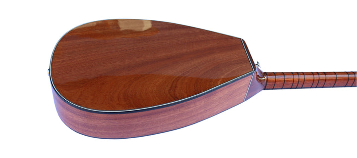 Dest professional flat electric baglama SHES-305