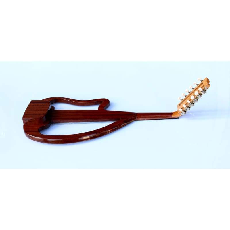 Sala Arabic Electric Oud AOS-101G-A