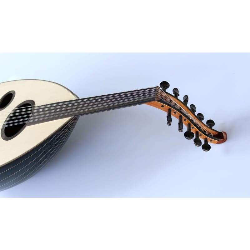 Walnuss arabische Oud AAO-108M von Sala