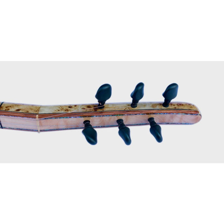 Custom electric saz SES-5 handmade by Sala
