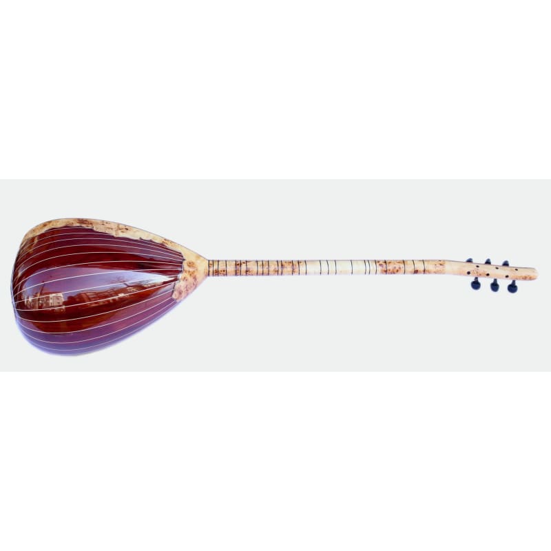 Custom electric saz SES-5 handmade by Sala