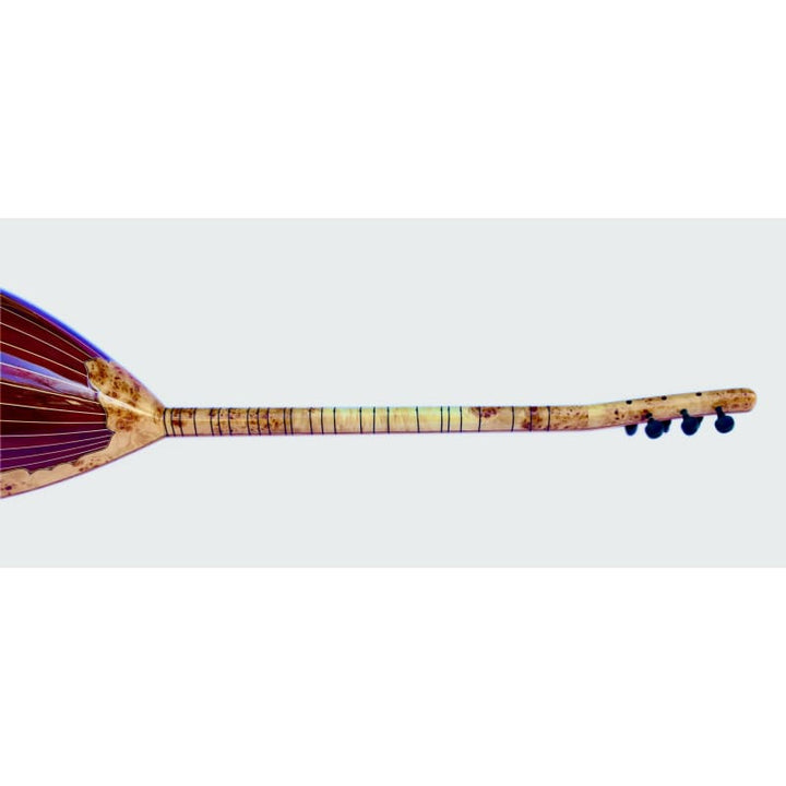 Custom electric baglama saz SES-5 by Sala