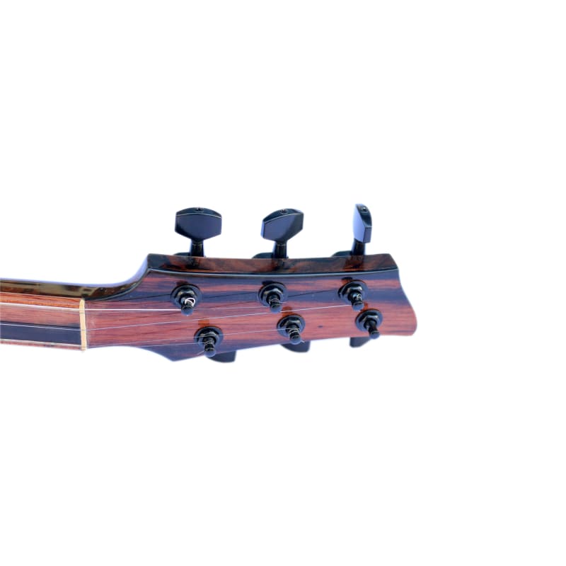 Custom electric baglama SES-4 by Sala