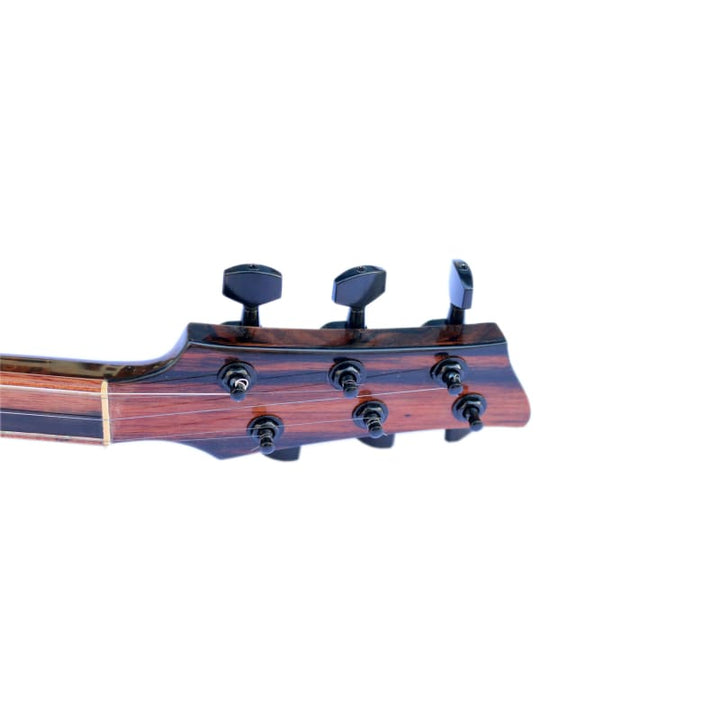 Custom electric baglama SES-4 by Sala