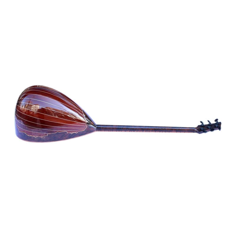 Sala custom electric baglama SES-4