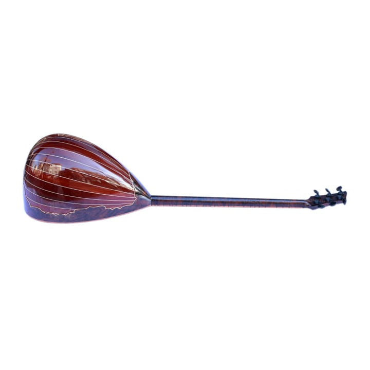 Sala custom electric baglama SES-4
