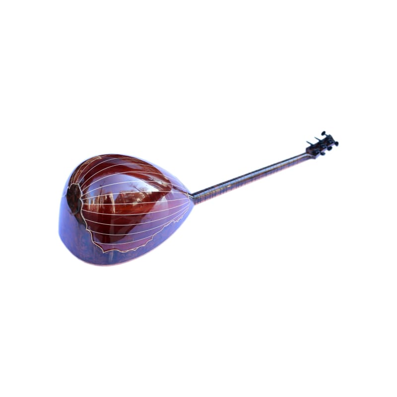 Sala custom electric saz SES-4 for stage performance