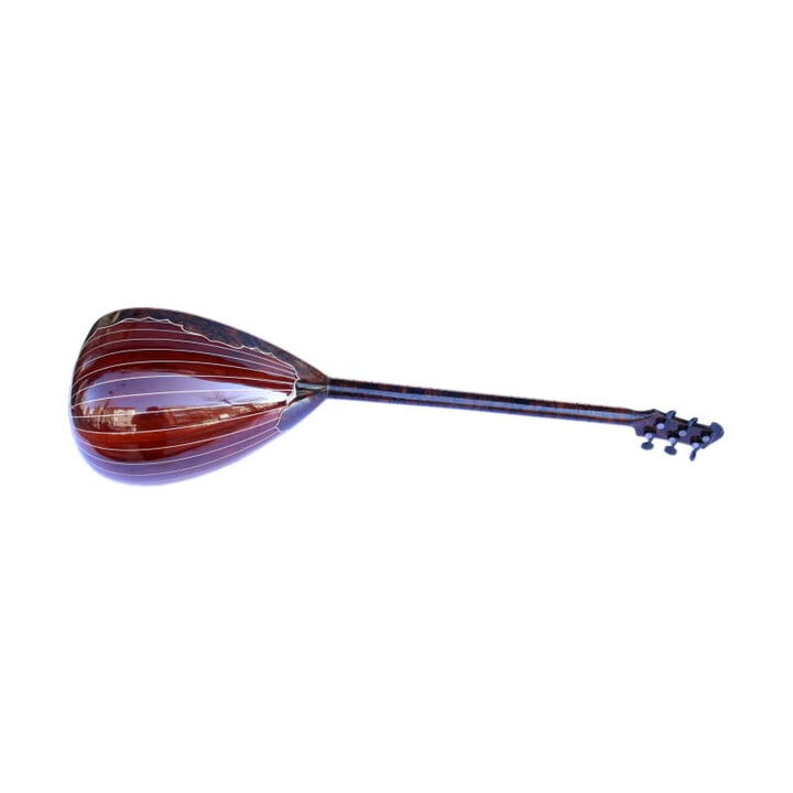Custom electric baglama SES-4 by Sala