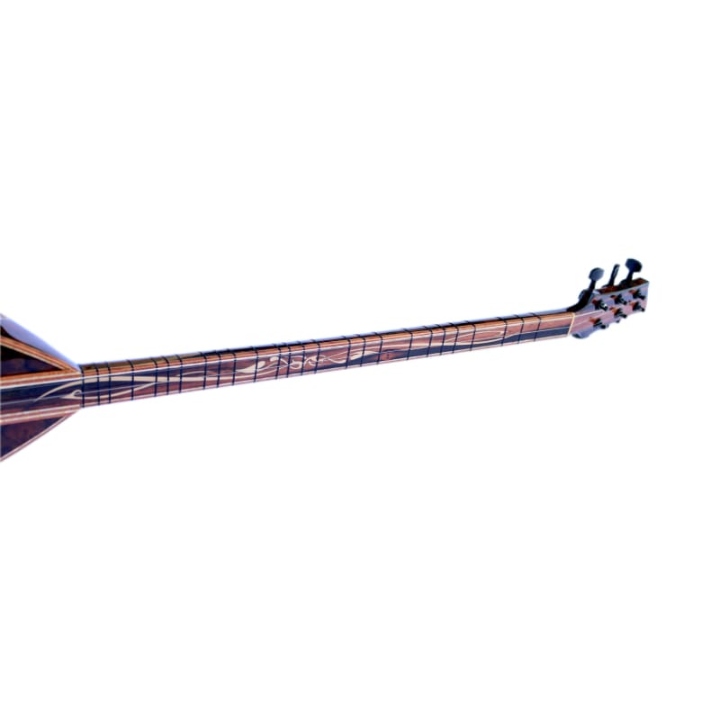 Custom Electric Saz SES-4