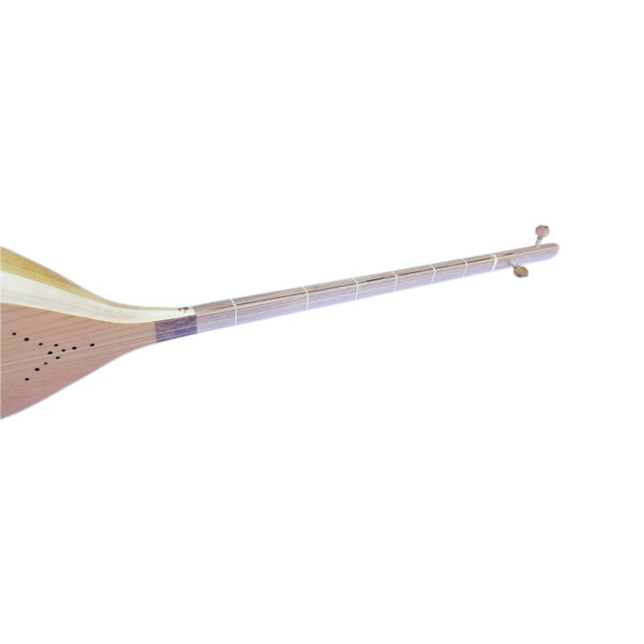 Dotar ND-203 by Nava long-neck Persian folk stringed instrument
