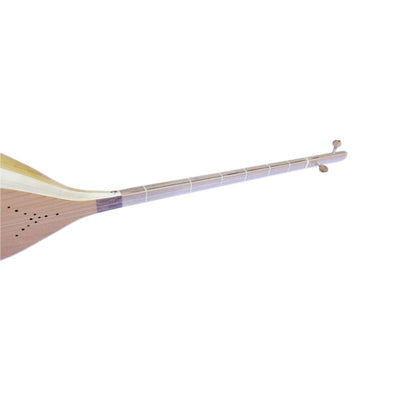 Nava High Quality Dotar String Instrument ND-203