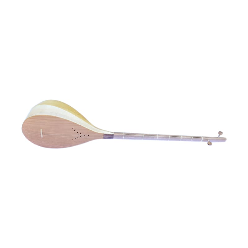 Nava high quality dotar ND-203 Persian two-string long-neck lute