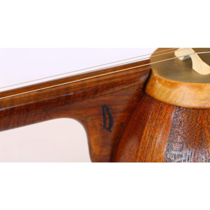 Persian kamanche MHK-303 by Joodaki with bow