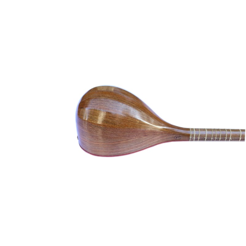 String Instrument Setar | Sala Muzik