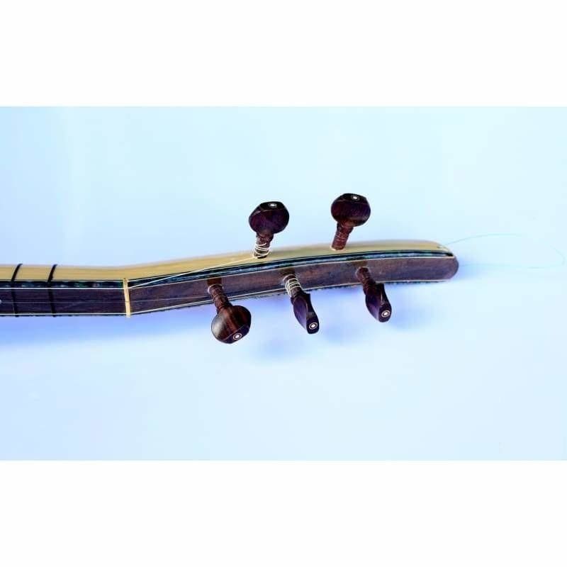 Long neck electric baglama saz EQ2 with EQ by Dest