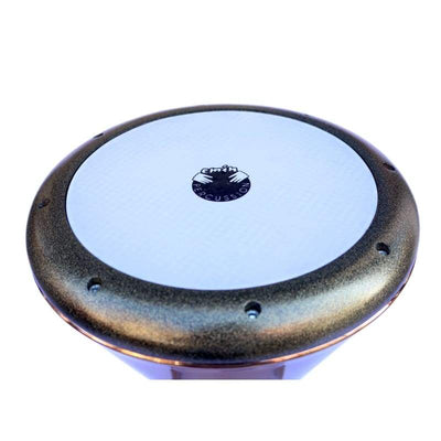 Emin Percussion Premium Gold Darbuka By Emin Percussion EP-404