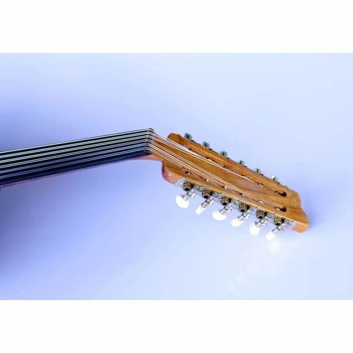 Sala Professional Arabic Electric Oud AAOK-301G