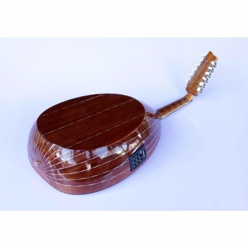 Professional Arabic Electric Oud AAOK-301G