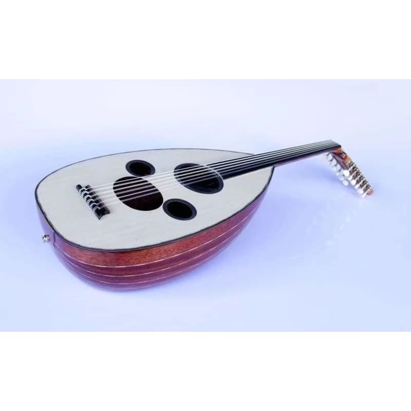 Sala Professional Arabic Electric Oud AAOK-301G