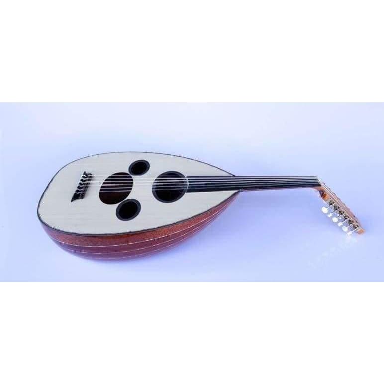 Professional Arabic Electric Oud AAOK-301G