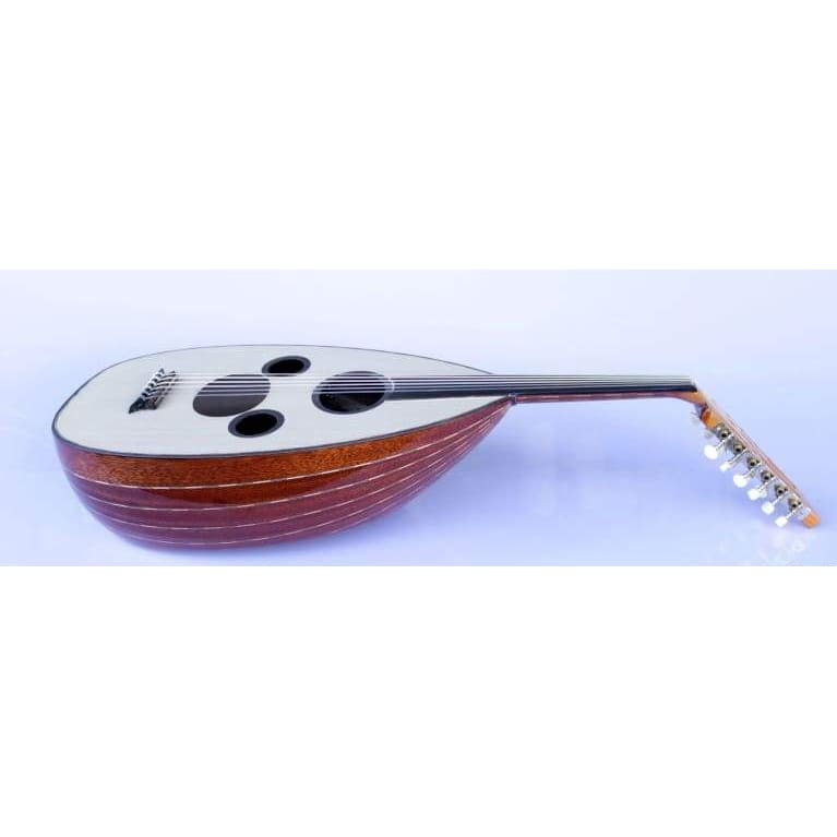 Sala Professional Arabic Electric Oud AAOK-301G