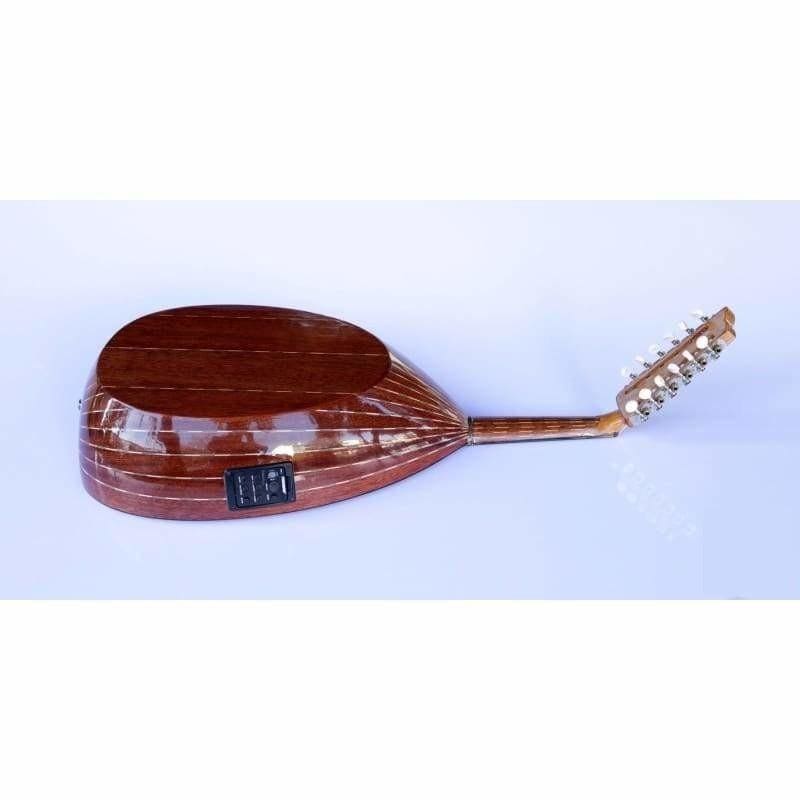 Professional Arabic Electric Oud AAOK-301G