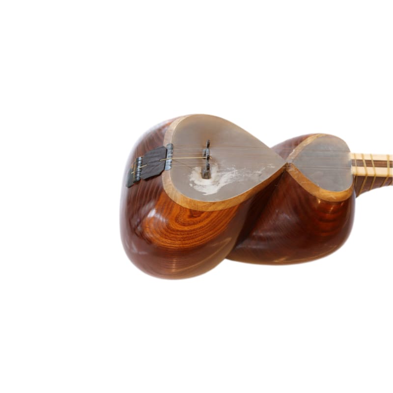 Persian tar ABT-404 by Aliyari traditional plucked instrument