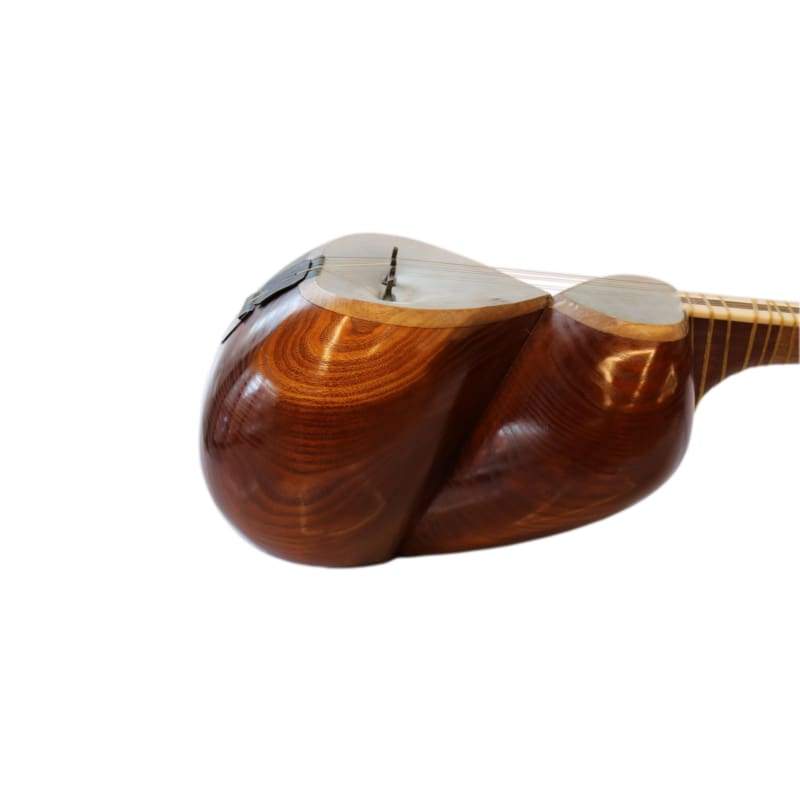 Tar ABT-404 by Aliyari concert Persian long-neck lute