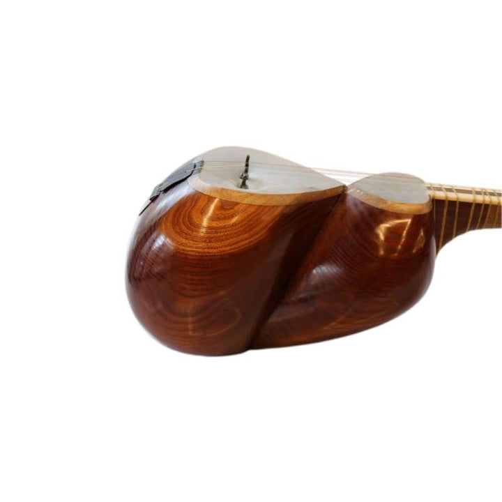 Tar ABT-404 by Aliyari concert Persian long-neck lute
