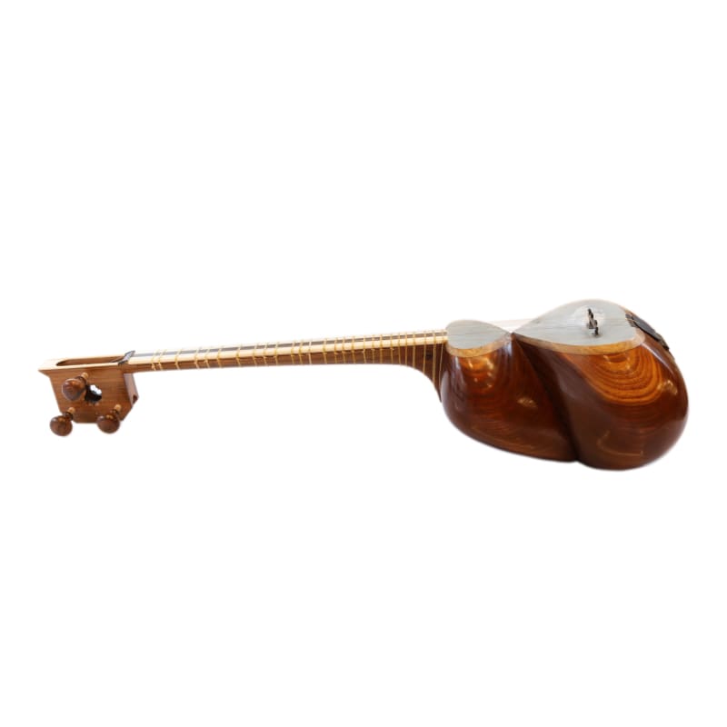 Persian tar ABT-404 by Aliyari with mulberry body and camel skin