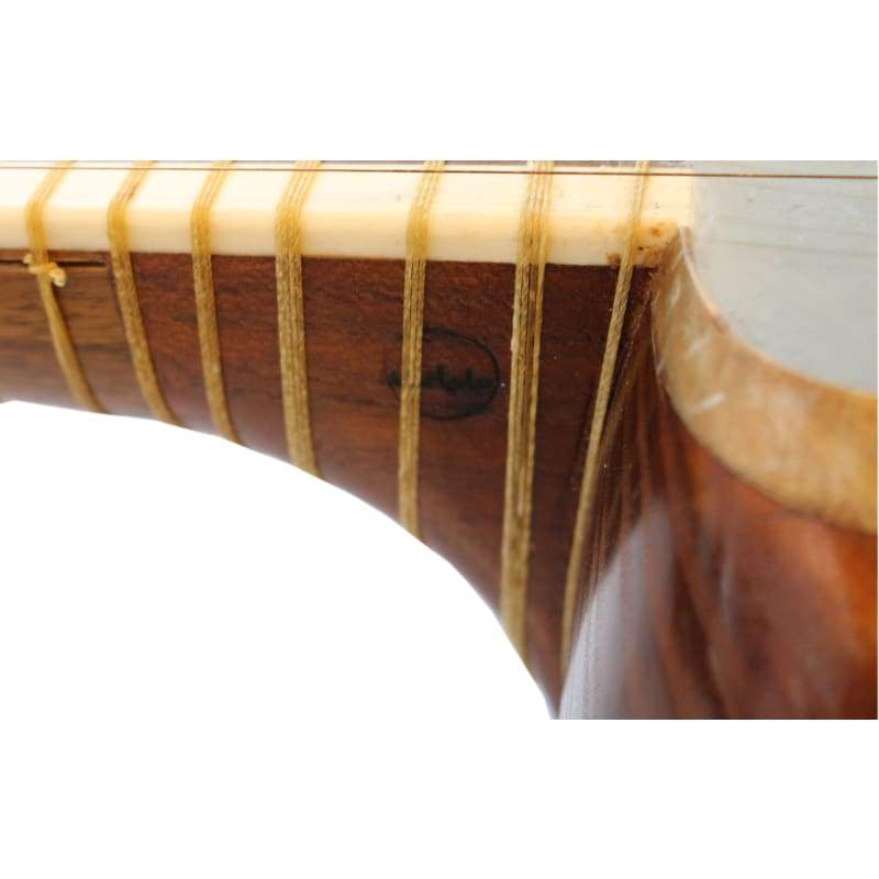 Aliyari tar ABT-404 stringed Persian instrument camel skin head