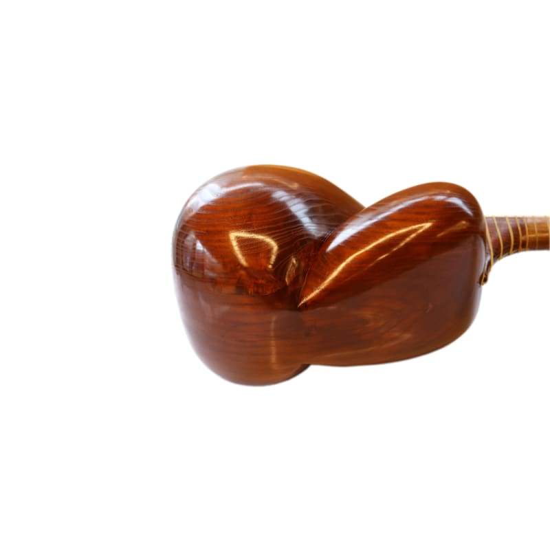 Aliyari tar ABT-404 handmade Persian plucked instrument