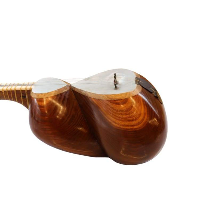 Tar ABT-404 by Aliyari handcrafted Persian classical lute