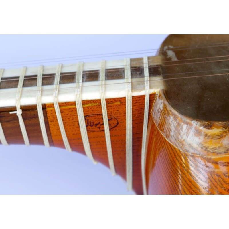 Tar AYT-307 by Molayi concert Persian long-neck instrument