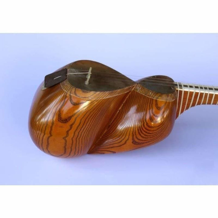 Persian tar AYT-307 by Molayi with mulberry body and camel skin