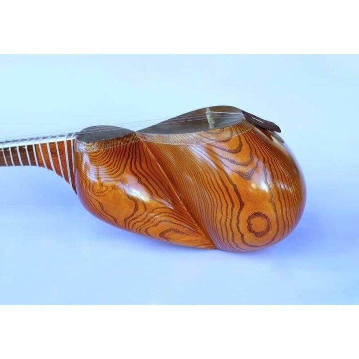 Molayi tar AYT-307 Persian classical plucked lute