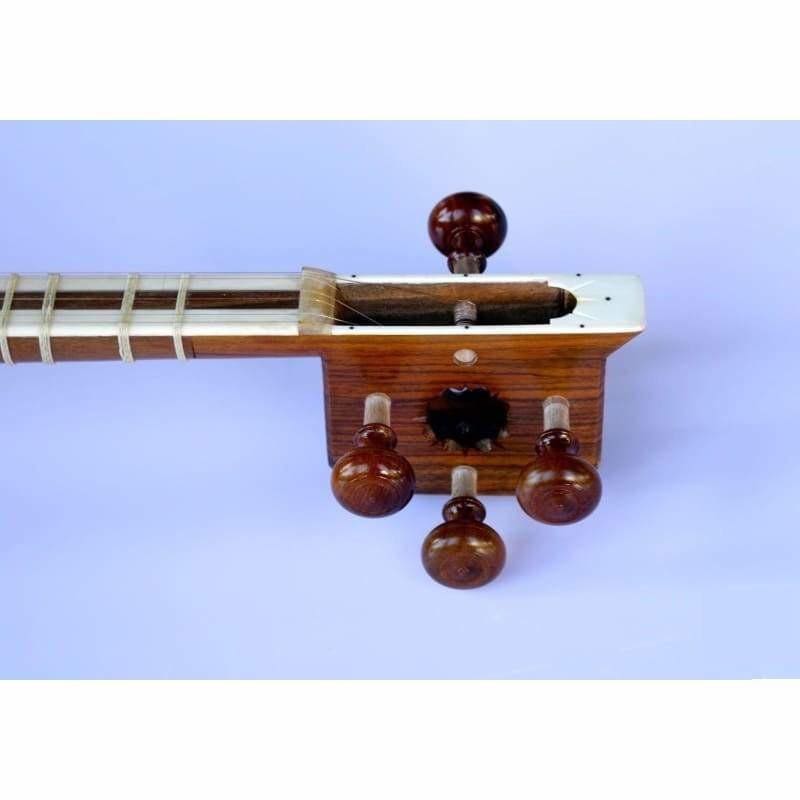 Tar AYT-307 by Molayi concert Persian long-neck lute