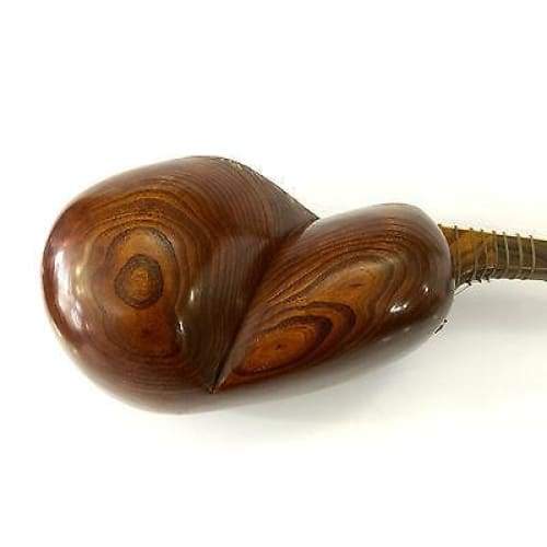 Khojaste Professional Tar By Rasool Khojaste